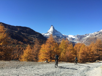 Biken-im-Herbst.jpg